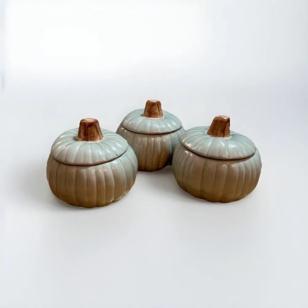 Vintage Williams-Sonoma Pumpkin Soup Bowls with Lids Sage Green NEVER USED